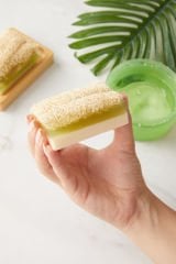 Doğal Kabak Lifli Keçi Sütlü Aloe Vera Sabunu (120 gr)